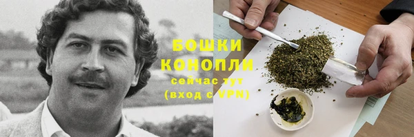 герыч Козельск