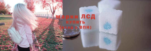 PSILOCYBIN Козловка