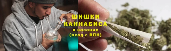 PSILOCYBIN Козловка