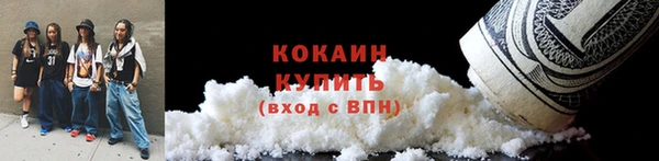 PSILOCYBIN Козловка