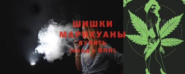 PSILOCYBIN Козловка