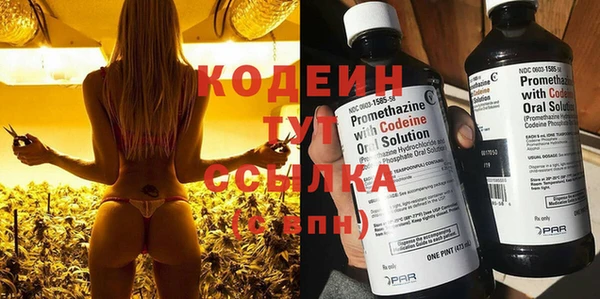 PSILOCYBIN Козловка