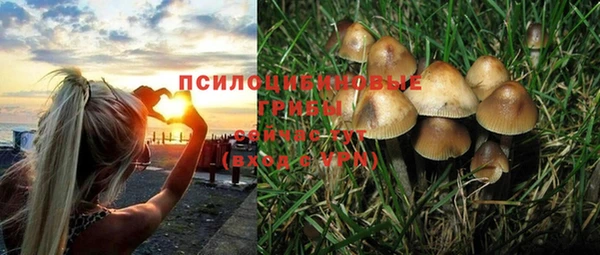марихуана Кодинск