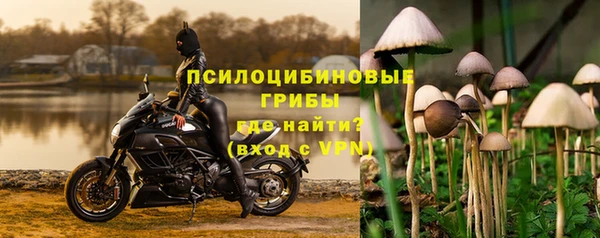 PSILOCYBIN Козловка