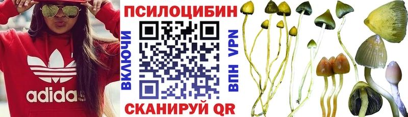 Псилоцибиновые грибы Magic Shrooms  Ясногорск 